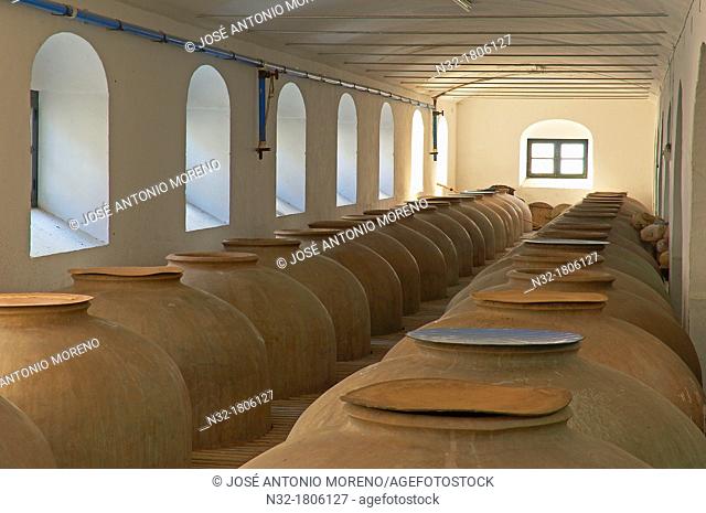 Montilla, Navarro Wine Cellar, jars, Montilla-Moriles Wine Route, Cordoba, Andalusia, Spain