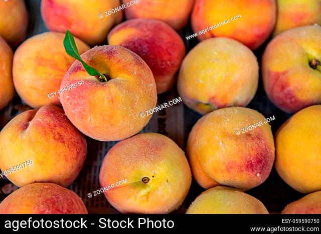 Close up full frame shot of beautiful peaches on sale at the local food market. Typical soft and hairy bright yellow and orange peel. Inviting