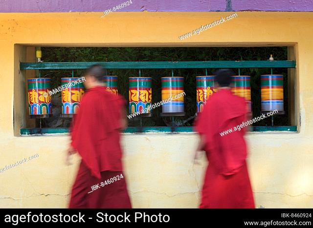 Buddhist monks passing and rotating prayer wheels on kora around Tsuglagkhang complex in McLeod Ganj, Himachal Pradesh, India, Asia