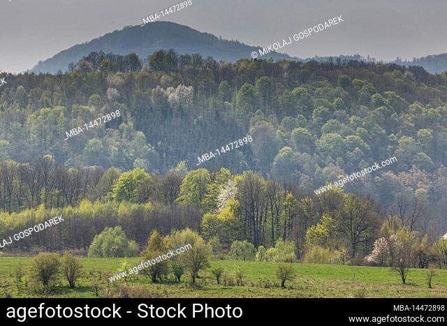 Europe, Poland, Lower Silesia, Kaczawskie Mountains near Swierzawa