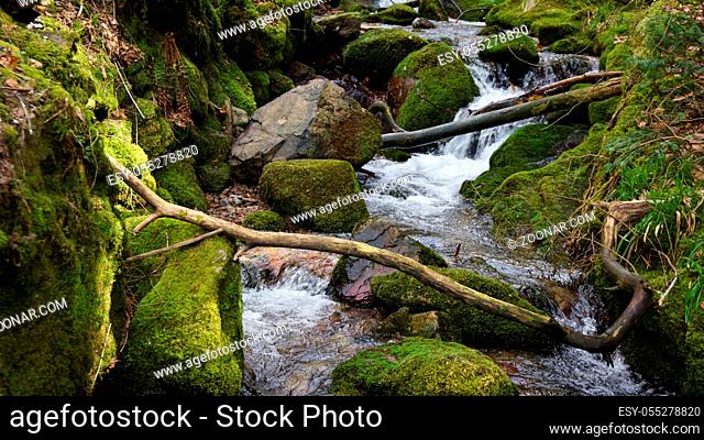 south german travel destinations water fall with fallen trees thrift wood in black forest