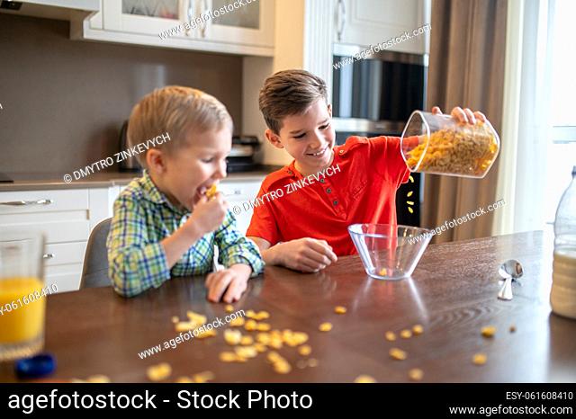 Little boy munching and watching his sibling filling a glass bowl with dry oat flakes