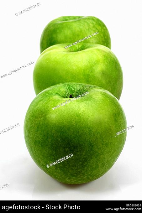 Malus domestica, cultivated apple, apple, rose family, granny smith apple, malus domesticas against white background