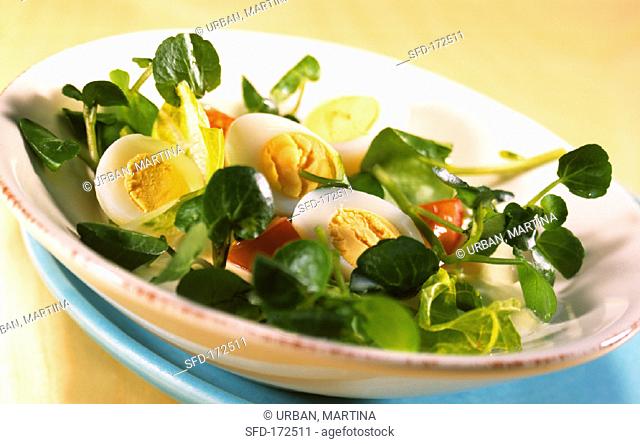 Watercress salad with quail's eggs