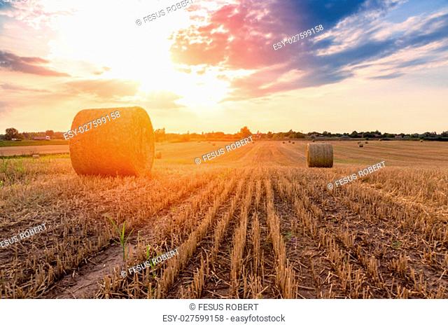 Hay bales on the field after harvest, Hungary