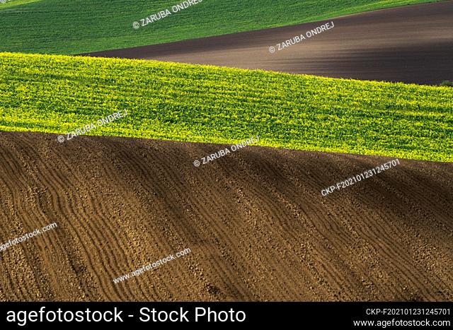 colours and shapes of fields in autumn (CTK Photo/Ondrej Zaruba)