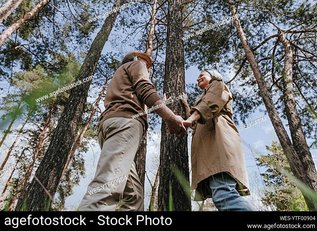 Romantic couple holding hands by tree in forest