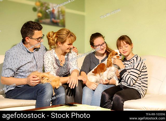 family with Siberian Cat and Cavalier King Charles Spaniel