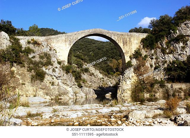Medieval bridge over river Llierca, Garrotxa, Girona province, Catalonia, Spain