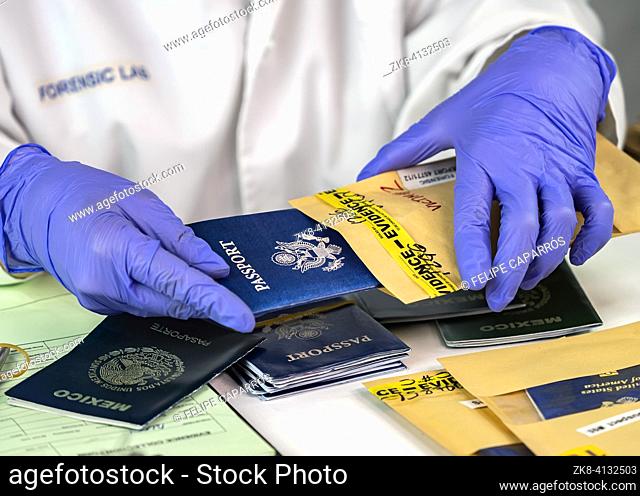 Police scientist takes several passports out of an evidence bag in crime lab, conceptual image