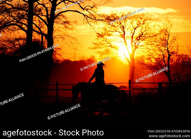 25 March 2020, Lower Saxony, Wardenburg: The silhouette of a female rider with her horse stands out against the warm light of the setting sun
