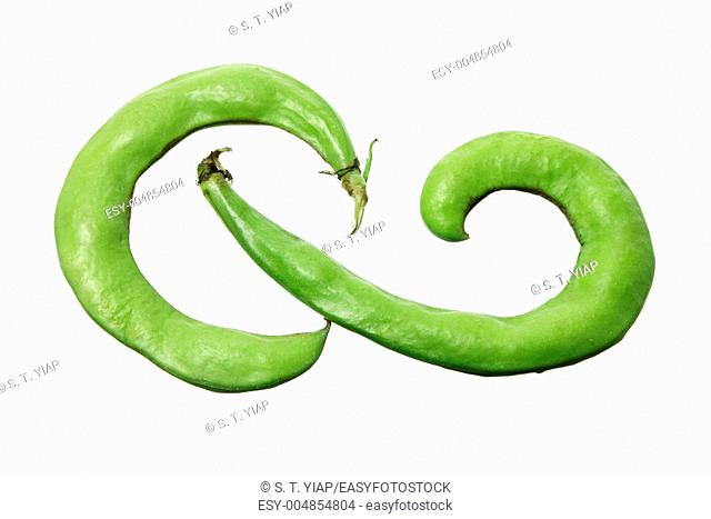 Broad Beans on White Background