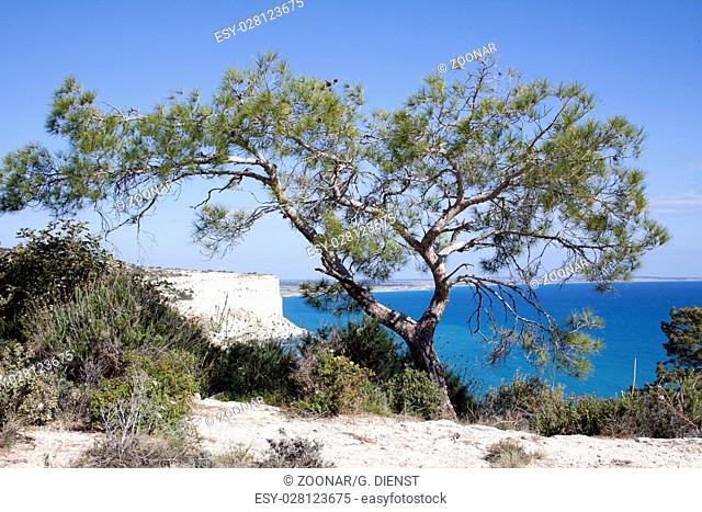 Episkopi Bay Cyprus