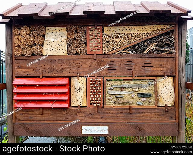Insektenhotels dienen Insekten, vor allem Wildbienen, als Unterschlupf und Brutstaette. Insect hotels serve insects, especially wild bees