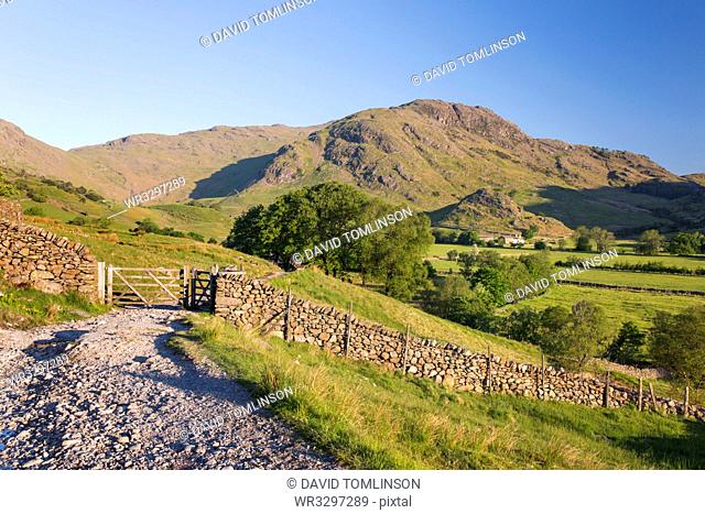 View along track towards Wrynose Fell, early morning, Little Langdale, Lake District National Park, UNESCO World Heritage Site, Cumbria, England, United Kingdom