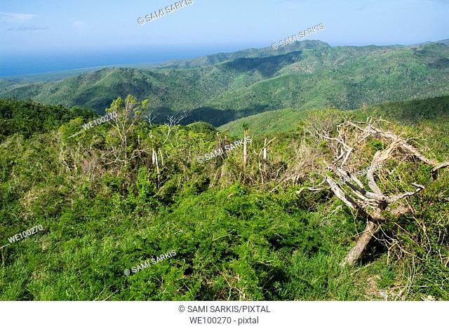 Lush vegetation in the Escambray Sierra with a glimpse of the sea in the background above Trinidad, Cuba