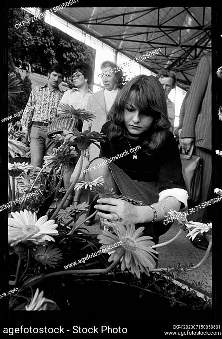 ***MAY 2, 1977 FILE PHOTO***Florist arranges flowers (gerberas) in The Polish People's Republic (PLR) stand of company Skierniewice during the Czech national...