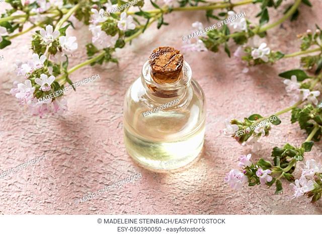 A bottle of essential oil with fresh blooming thyme on a pink background