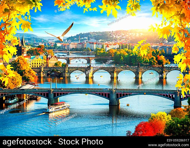Row of bridges in Prague at autumn day