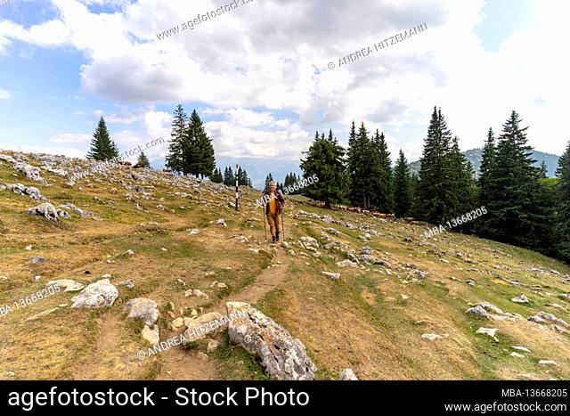 Hike in the southern Carpathians, Romania