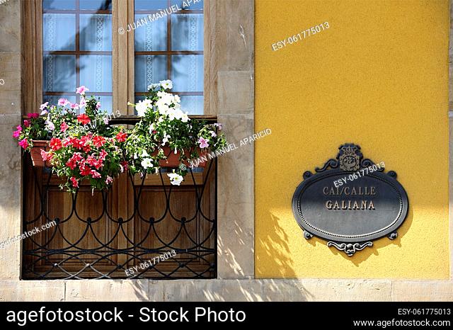 Detail of a window with flowers and a shield in the historical center of Aviles Galiana Street, Asturias, Spain, Europe
