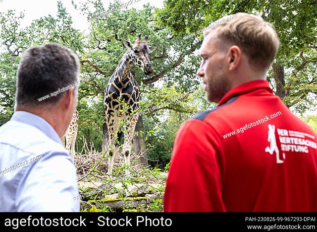 26 August 2023, Lower Saxony, Hanover: Andreas Casdorff (l-r), managing director of Hannover Adventure Zoo, and Per Mertesacker, former national soccer player