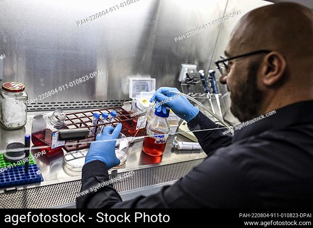 04 August 2022, Israel, Rehovot: Jacob (Yaqub) Hanna, Professor of Molecular Genetics, works on embryos samples in his laboratory at Weizmann Institute of...