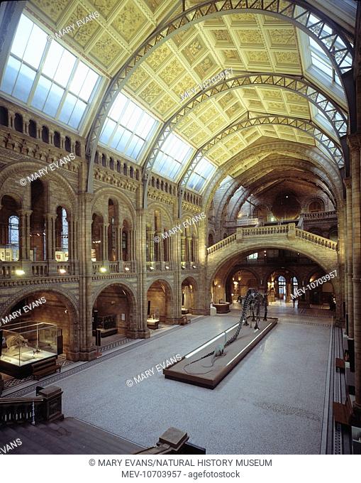 The Central Hall at the Natural History Museum was designed by Alfred Waterhouse (1830-1905) and opened to the public on Easter Monday 1881