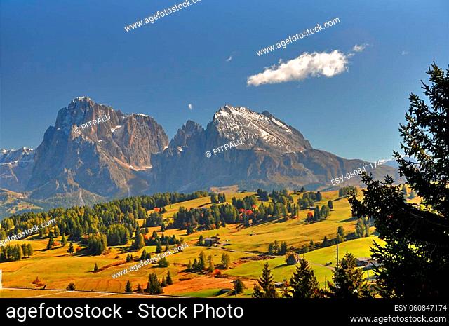 the alps in south tyrol / seis alm