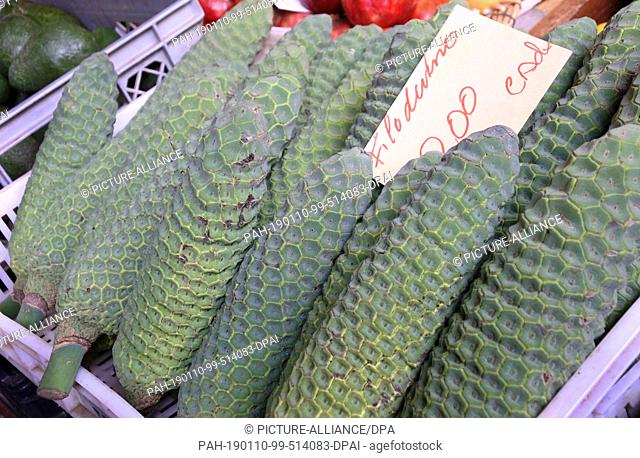 16 November 2018, Portugal, Funchal: Pineapple bananas are offered for sale in the market hall ""Mercado dos Lavradores""