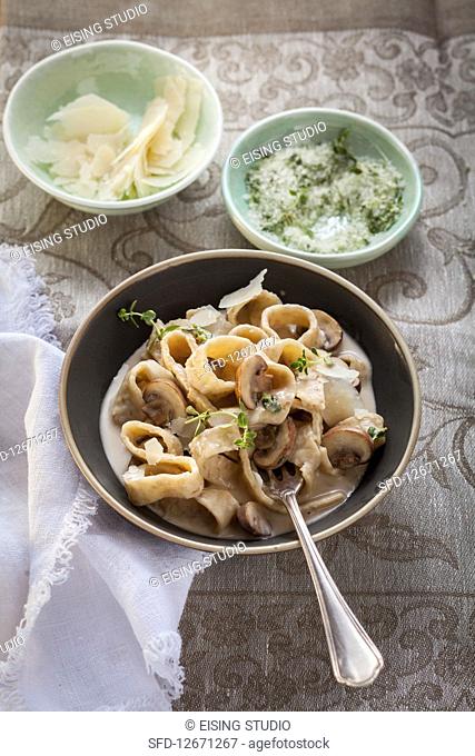 Freekeh tagliatelle with herbs and cheese