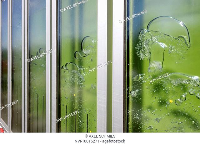 Details, bioreactor facade, BIQ, algae building, IBA, Internationale Bauausstellung, Wilhelmsburg , Hamburg, Germany
