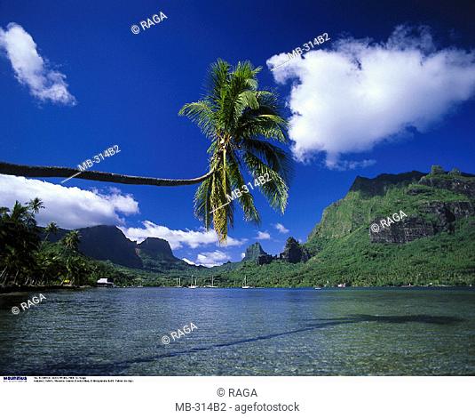French Polynesia,  Moorea Island, Cook's Bay