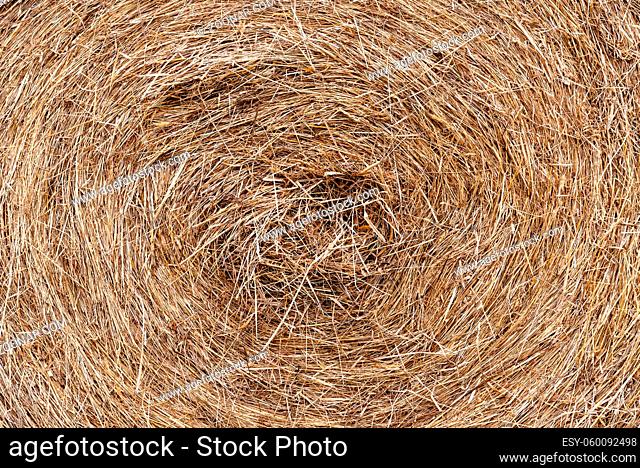 Close up of hay bale after harvest. Full frame
