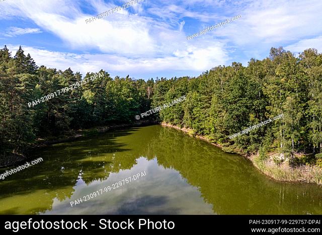 17 September 2023, Saxony, Dahlen: Sky and trees are reflected on the water surface of the Blue Pond in Dahlen. Photo: Frank Hammerschmidt/dpa