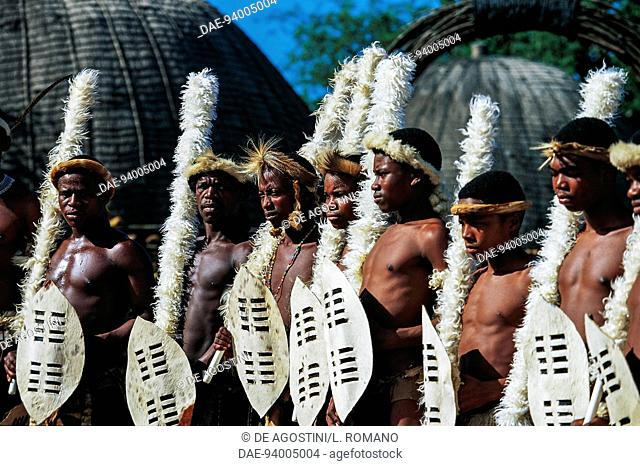 Zulu warriors during a Ngoma, traditional dance, Zulu village, KwaZulu-Natal, South Africa