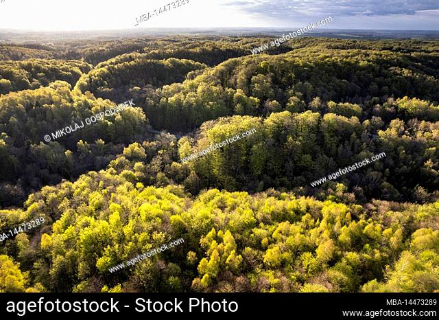 Europe, Poland, Warmian-Masurian Voivodeship, Dylewo Hills Landscape Park