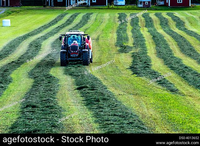 Umea, Sweden A tractor plows a field to make hay bales