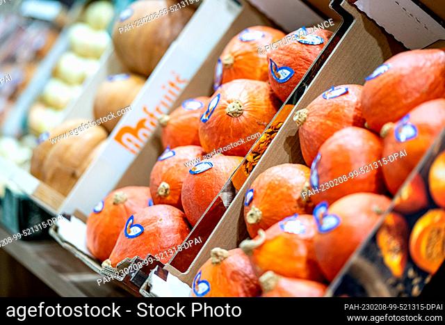 08 February 2023, Berlin: Hokkaido pumpkins (lat. Cucurbita Maxima) are exhibited at Fruit Logistica. Fruit Logistica is an International Trade Fair for Fruit...