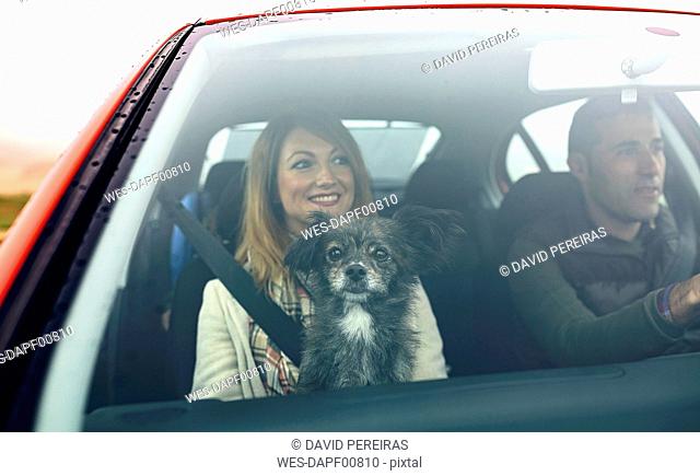 Happy couple with small dog in car
