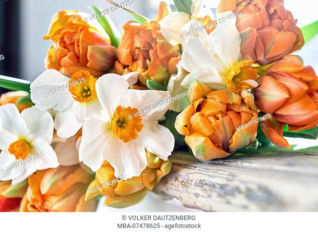 Bouquet of tulips and daffodils on a windowsill