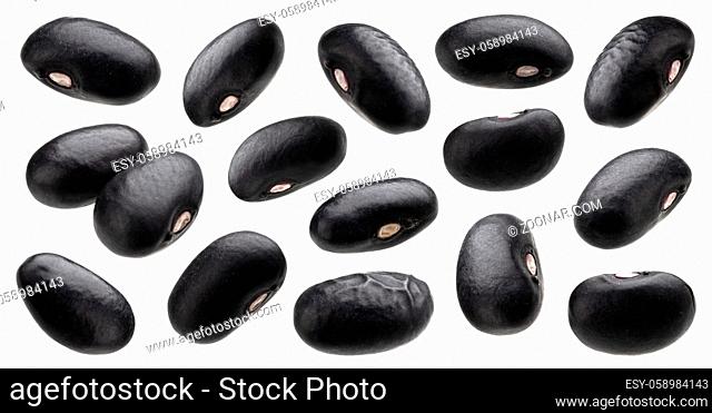 Black bean collection isolated on white background with clipping path close up