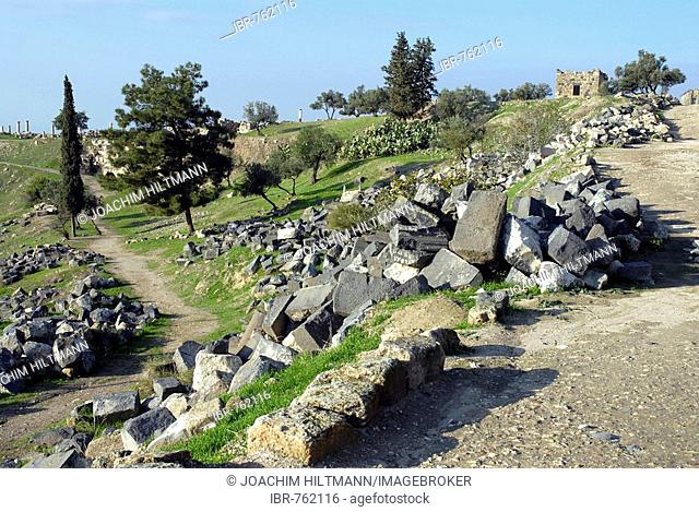 Ancient Greco-Roman ruins at Umm Qais, Gadara, Jordan, Middle East, Asia
