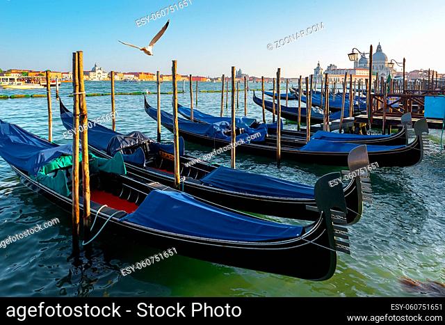 Traditional gondolas in Venice moored near pier in Grand Canal