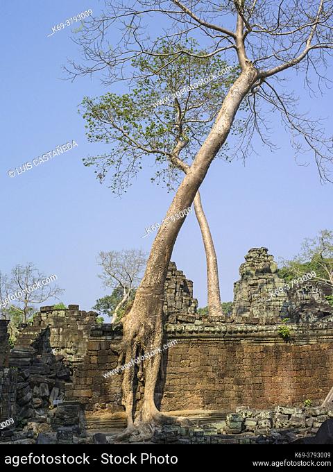 Preah Khan, sometimes transliterated as Prah Khan, is a temple at Angkor, Cambodia, built in the 12th century for King Jayavarman VII