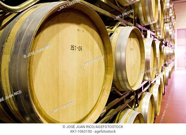 Barriles de vino en la bodega, Barbastro, Huesca, España8