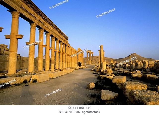 Syria, Palmyra, Ancient Roman City, Colonnaded Street, Tetrapylon, Castle Of Fakhr Ud-Din