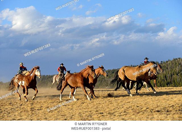 USA, Wyoming, cowboys and cowgirl herding horses in wilderness