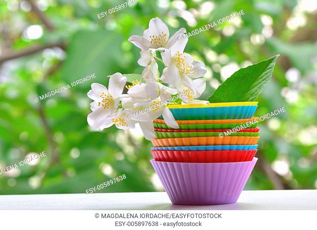 types of muffins with jasmine flower shoot on natural background