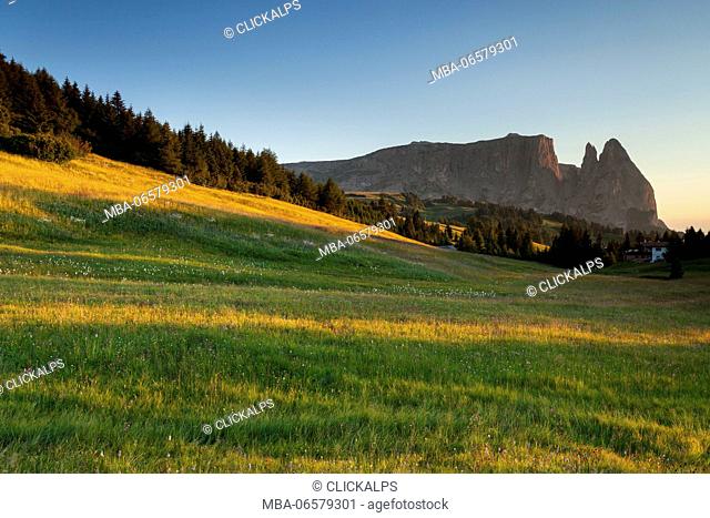 Sciliar, Dolomites, Italy, The last grazing light of sunset in the natural park Sciliar